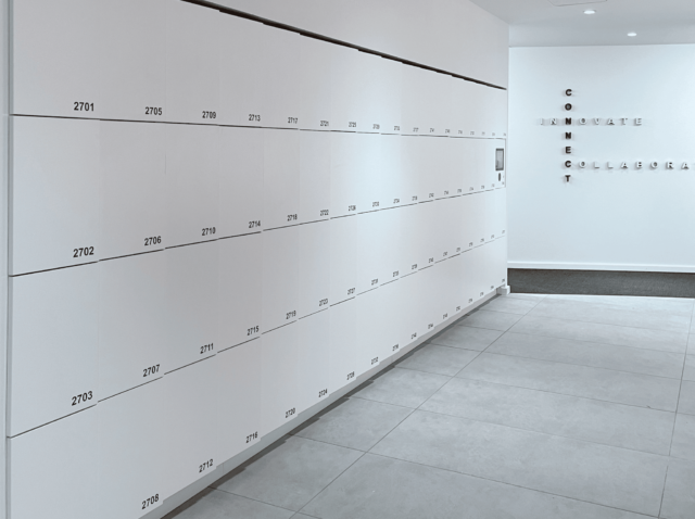Wall locker white laminate workplace