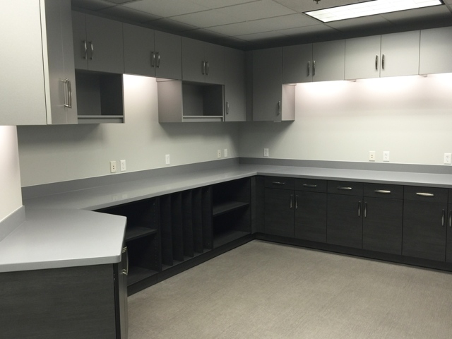 Workplace Agile Storage - Solid Surface Casework with contrasting upper and base cabinets