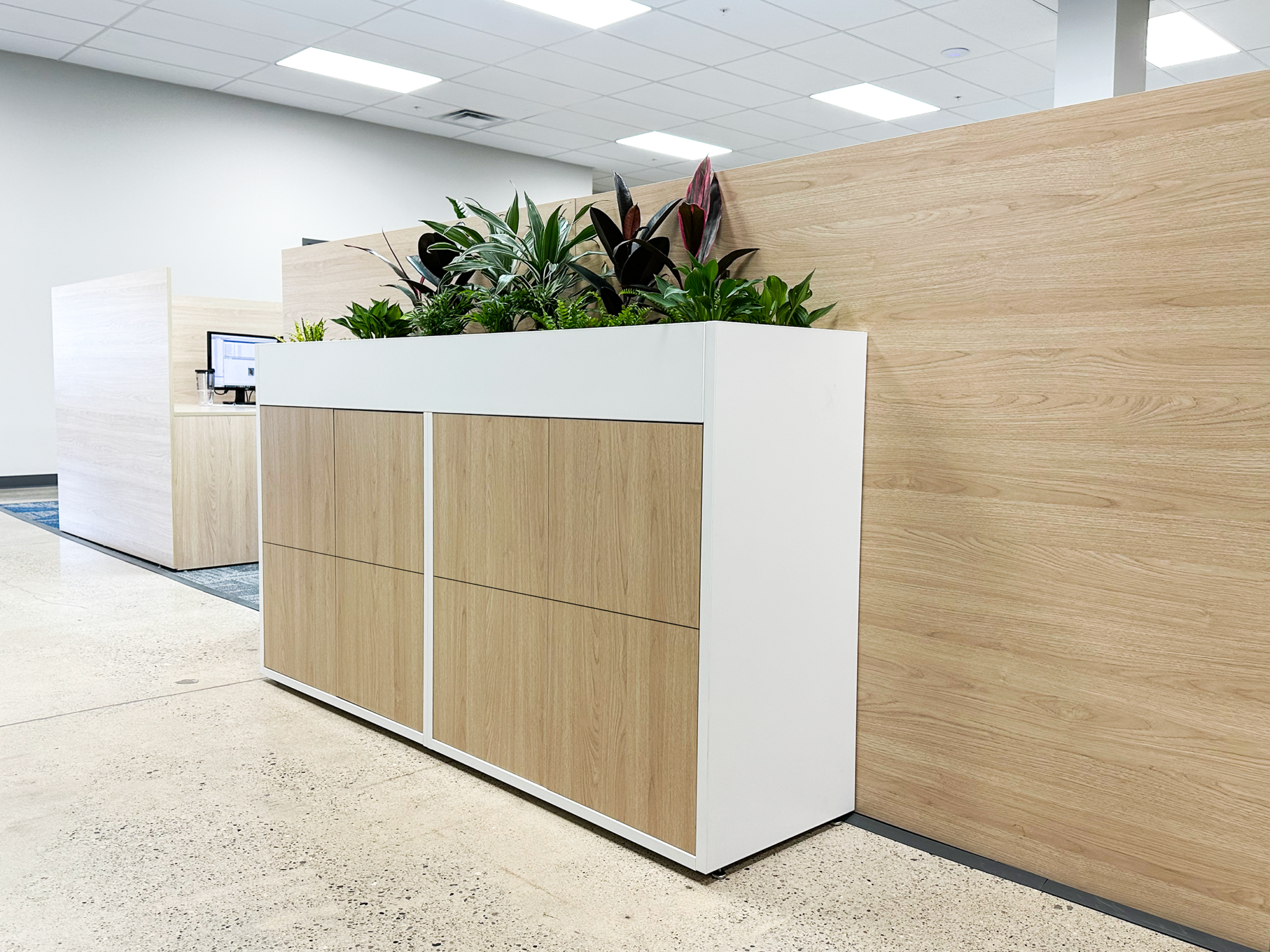 Biophilic office locker design with integrated planter box by HAMILTON Casework Solutions