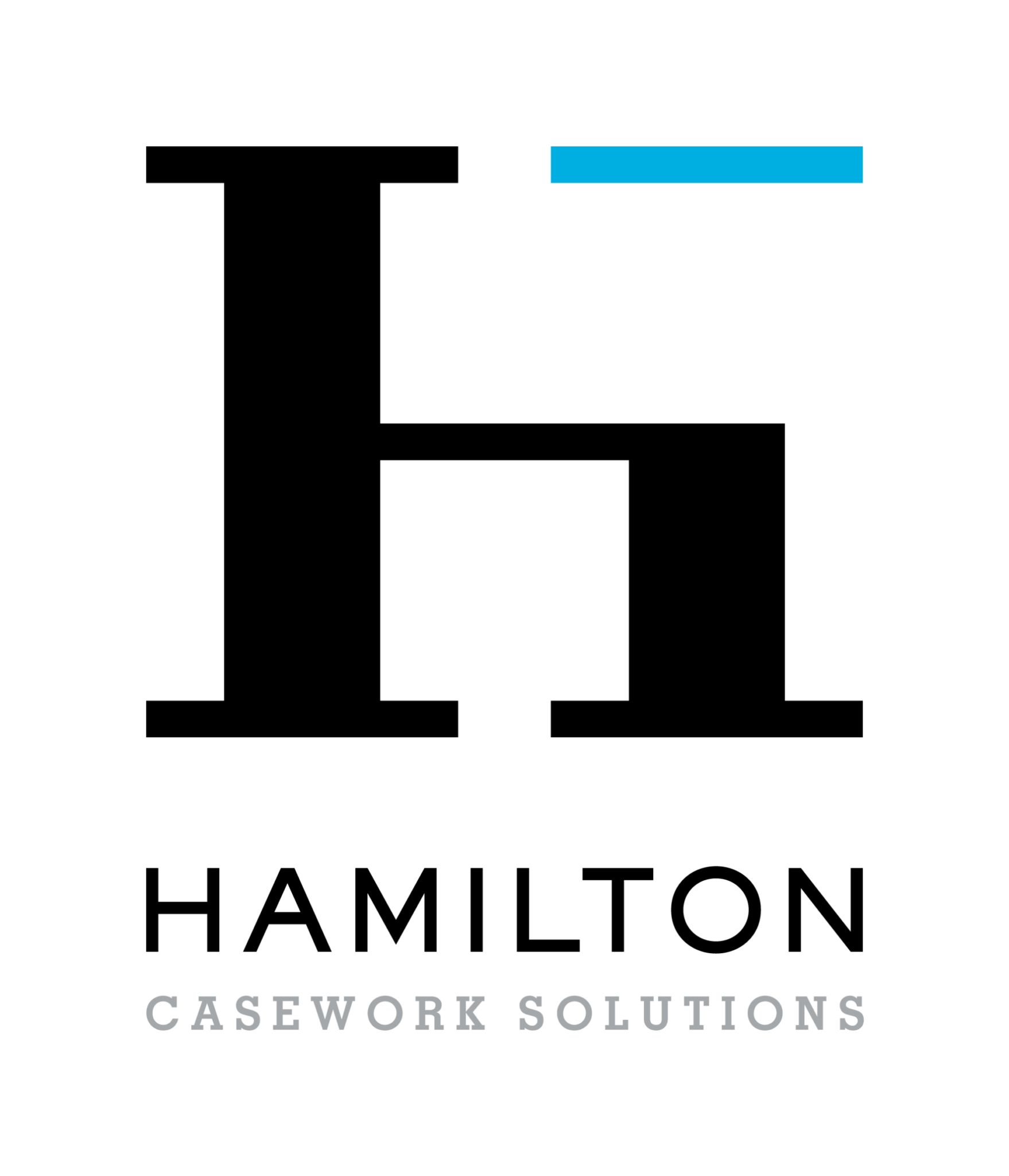 Hamilton Casework Solutions